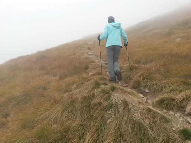 Foto: Wolfgang Lauschensky / Wandertour / Fravort über Monte Panarotta / breite Grasflanke / 29.10.2018 22:46:59