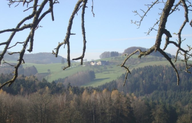 Foto: Wolfgang Dröthandl / Wandertour / Kukubauerwiese - Überschreitung / In der 'niederösterreichischen Toskana'... / 16.11.2018 17:40:05