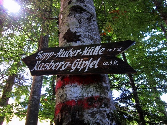 Foto: Andreas Koller / Wandertour / Aussichtsgipfel Kasberg (1747m) / 17.11.2018 15:42:17