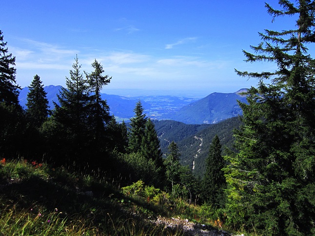 Foto: Andreas Koller / Wandertour / Aussichtsgipfel Kasberg (1747m) / 17.11.2018 15:41:28