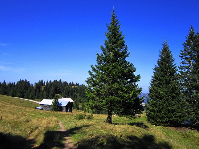 Foto: Andreas Koller / Wandertour / Aussichtsgipfel Kasberg (1747m) / 17.11.2018 15:40:19
