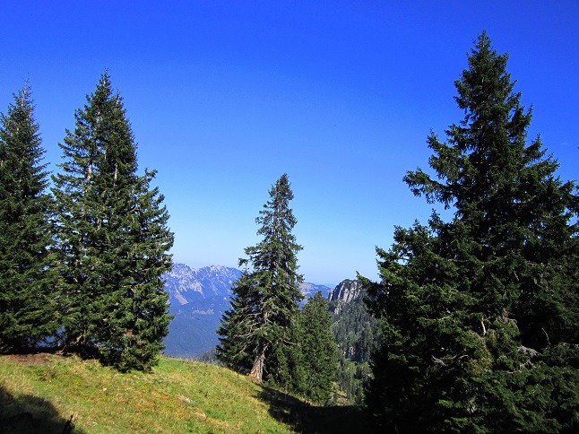 Foto: Andreas Koller / Wandertour / Aussichtsgipfel Kasberg (1747m) / 17.11.2018 15:40:00