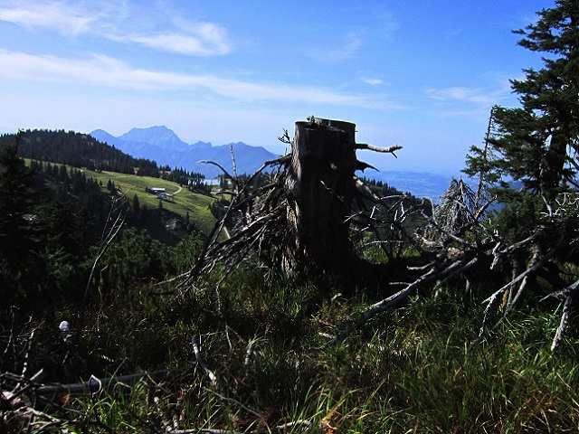 Foto: Andreas Koller / Wandertour / Aussichtsgipfel Kasberg (1747m) / 17.11.2018 15:38:41