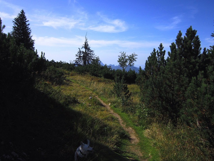 Foto: Andreas Koller / Wandertour / Aussichtsgipfel Kasberg (1747m) / 17.11.2018 15:38:27
