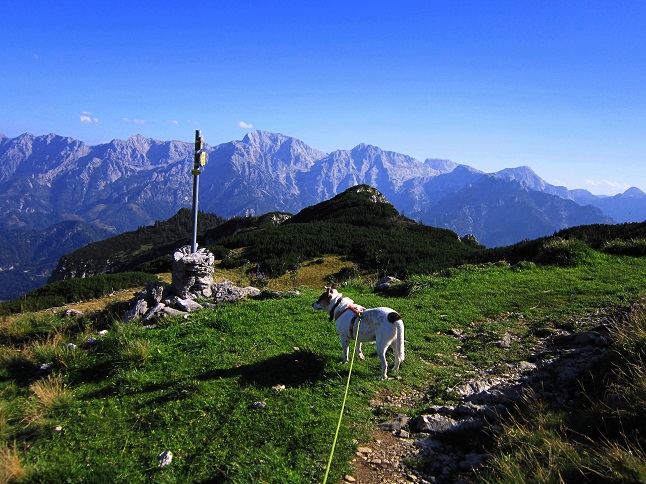 Foto: Andreas Koller / Wandertour / Aussichtsgipfel Kasberg (1747m) / 17.11.2018 15:37:49