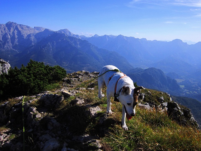 Foto: Andreas Koller / Wandertour / Aussichtsgipfel Kasberg (1747m) / 17.11.2018 15:37:08