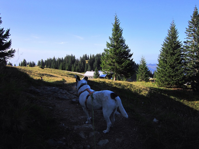 Foto: Andreas Koller / Wandertour / Aussichtsgipfel Kasberg (1747m) / 17.11.2018 15:33:21