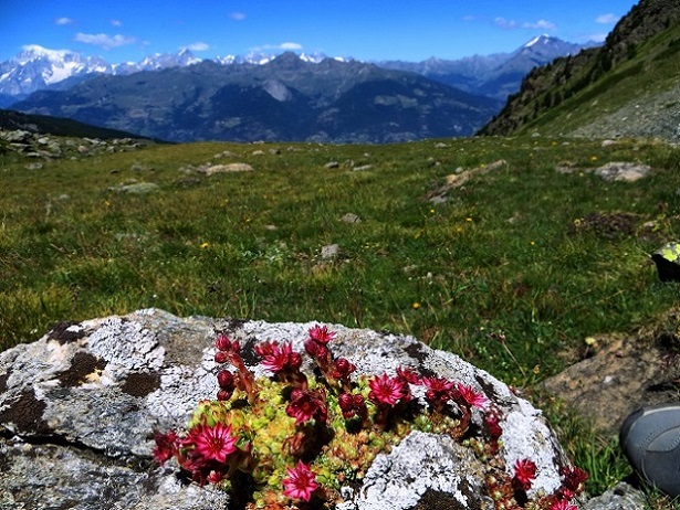 Foto: Andreas Koller / Wandertour / Kammtour über Pila (2825m) / 28.11.2018 01:10:30