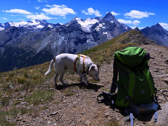 Foto: Andreas Koller / Wandertour / Kammtour über Pila (2825m) / Col Tsa Setse / 28.11.2018 01:08:35