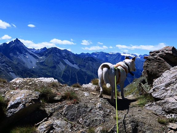 Foto: Andreas Koller / Wandertour / Kammtour über Pila (2825m) / 28.11.2018 01:02:35