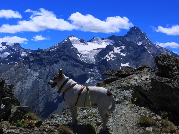 Foto: Andreas Koller / Wandertour / Kammtour über Pila (2825m) / Paradiso-Gruppe / 28.11.2018 01:02:15