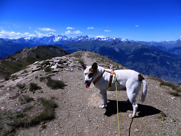 Foto: Andreas Koller / Wandertour / Kammtour über Pila (2825m) / Platta di Grevon / 28.11.2018 00:59:25