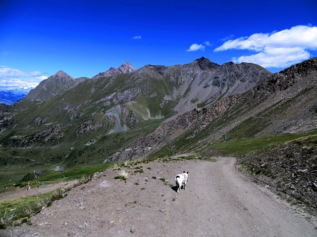 Foto: Andreas Koller / Wandertour / Kammtour über Pila (2825m) / 28.11.2018 00:58:02