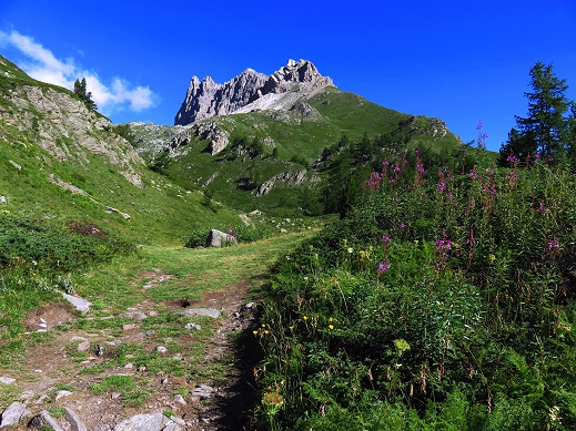 Foto: Andreas Koller / Wandertour / Mondlandschaft am Mont Thabor (3178m) / 17.01.2019 01:38:39