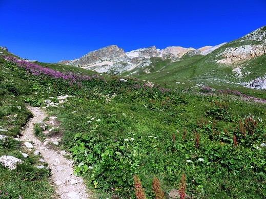Foto: Andreas Koller / Wandertour / Mondlandschaft am Mont Thabor (3178m) / 17.01.2019 01:36:33