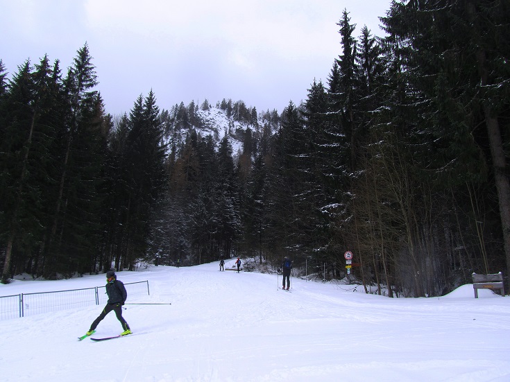 Foto: Andreas Koller / Skitour / Skitouren-Lehrpfad Unternberg (1426m) / 19.01.2019 19:37:40