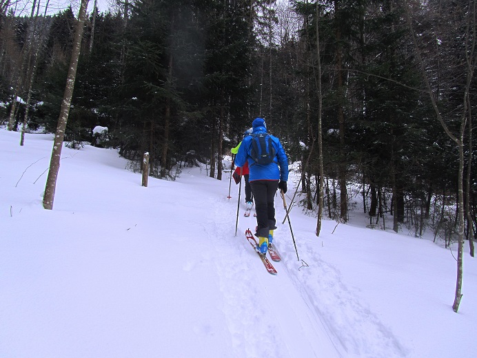 Foto: Andreas Koller / Skitour / Skitouren-Lehrpfad Unternberg (1426m) / 19.01.2019 19:37:14
