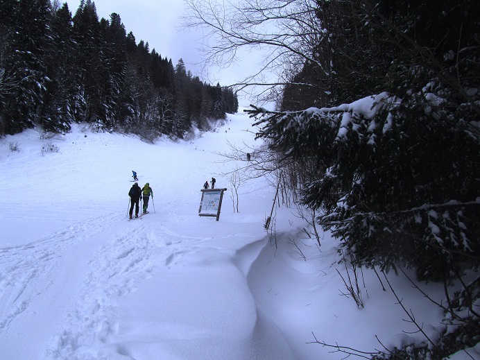 Foto: Andreas Koller / Skitour / Skitouren-Lehrpfad Unternberg (1426m) / 19.01.2019 19:36:31