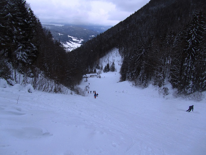 Foto: Andreas Koller / Skitour / Skitouren-Lehrpfad Unternberg (1426m) / 19.01.2019 19:35:58