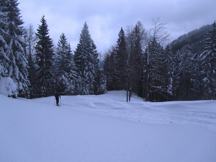 Foto: Andreas Koller / Skitour / Skitouren-Lehrpfad Unternberg (1426m) / 19.01.2019 19:35:40