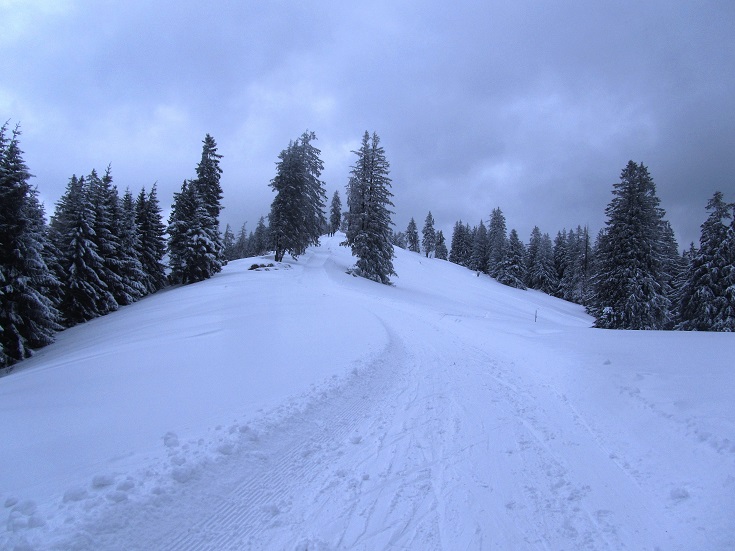 Foto: Andreas Koller / Skitour / Skitouren-Lehrpfad Unternberg (1426m) / 19.01.2019 19:33:33