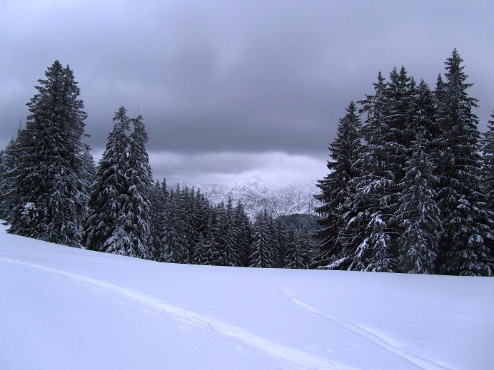Foto: Andreas Koller / Skitour / Skitouren-Lehrpfad Unternberg (1426m) / 19.01.2019 19:33:20