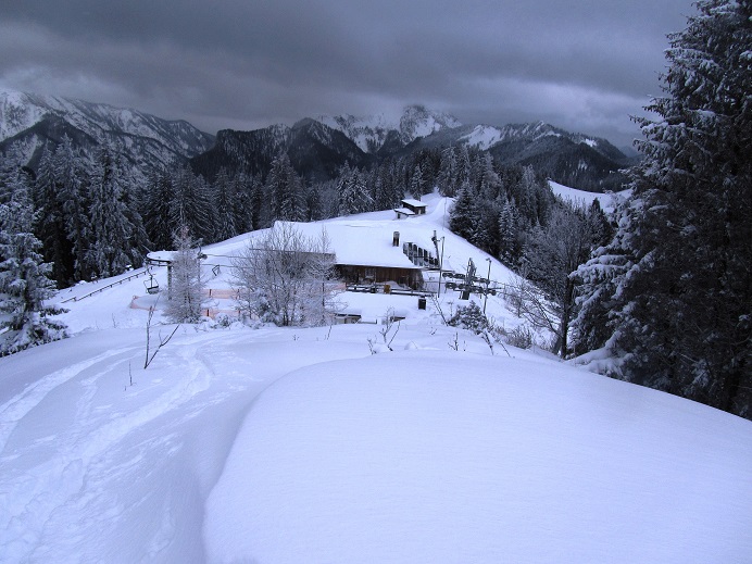 Foto: Andreas Koller / Skitour / Skitouren-Lehrpfad Unternberg (1426m) / 19.01.2019 19:31:20