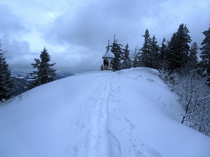 Foto: Andreas Koller / Skitour / Skitouren-Lehrpfad Unternberg (1426m) / Die letzten Meter zum Gipfel / 19.01.2019 19:31:07