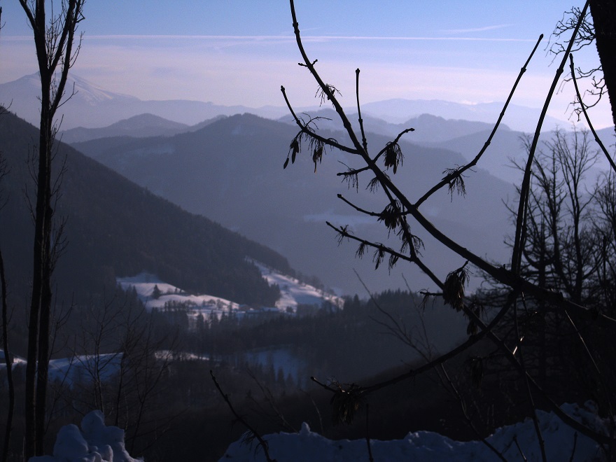 Foto: Andreas Koller / Skitour / Rasch auf den Hainfelder Kirchenberg (924m) / 25.01.2019 21:42:01