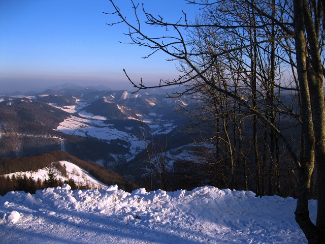 Foto: Andreas Koller / Skitour / Rasch auf den Hainfelder Kirchenberg (924m) / 25.01.2019 21:41:09