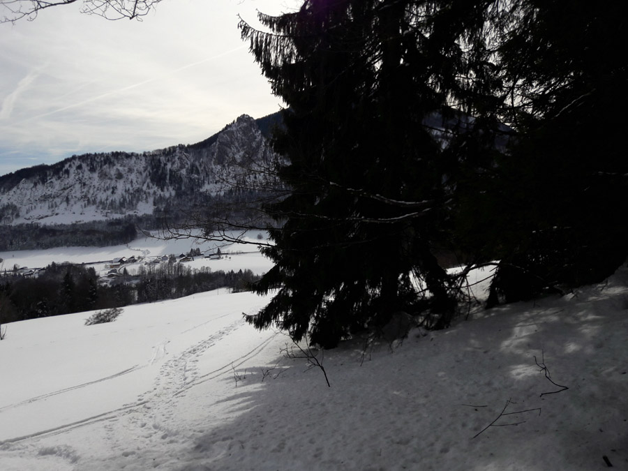 Foto: Rupert Gredler / Skitour / Heuberg von Guggenthal / Das obere Ende der Wiese / 10.02.2019 18:15:23