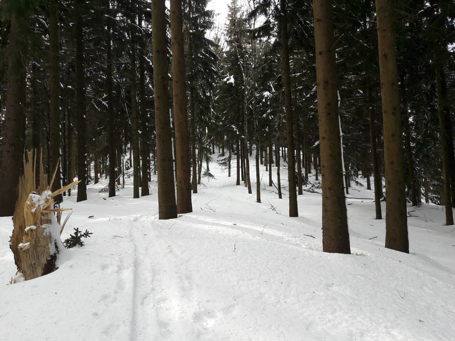 Foto: Rupert Gredler / Skitour / Heuberg von Guggenthal / Bereits auf dem Heuberg Rücken / 10.02.2019 18:17:02