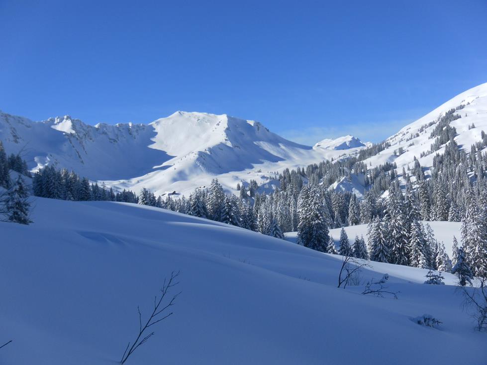 Foto: Wolfgang Lauschensky / Skitour / Grünhorn 2039m aus dem Schwarzwassertal / Schwarzwasserhütte unter dem Steinmandl / 10.02.2019 11:22:07