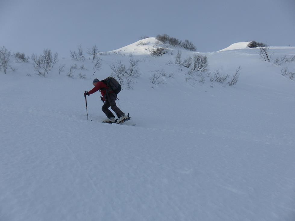 Foto: Wolfgang Lauschensky / Skitour / Grünhorn 2039m aus dem Schwarzwassertal / Schartenstauden / 10.02.2019 11:21:42