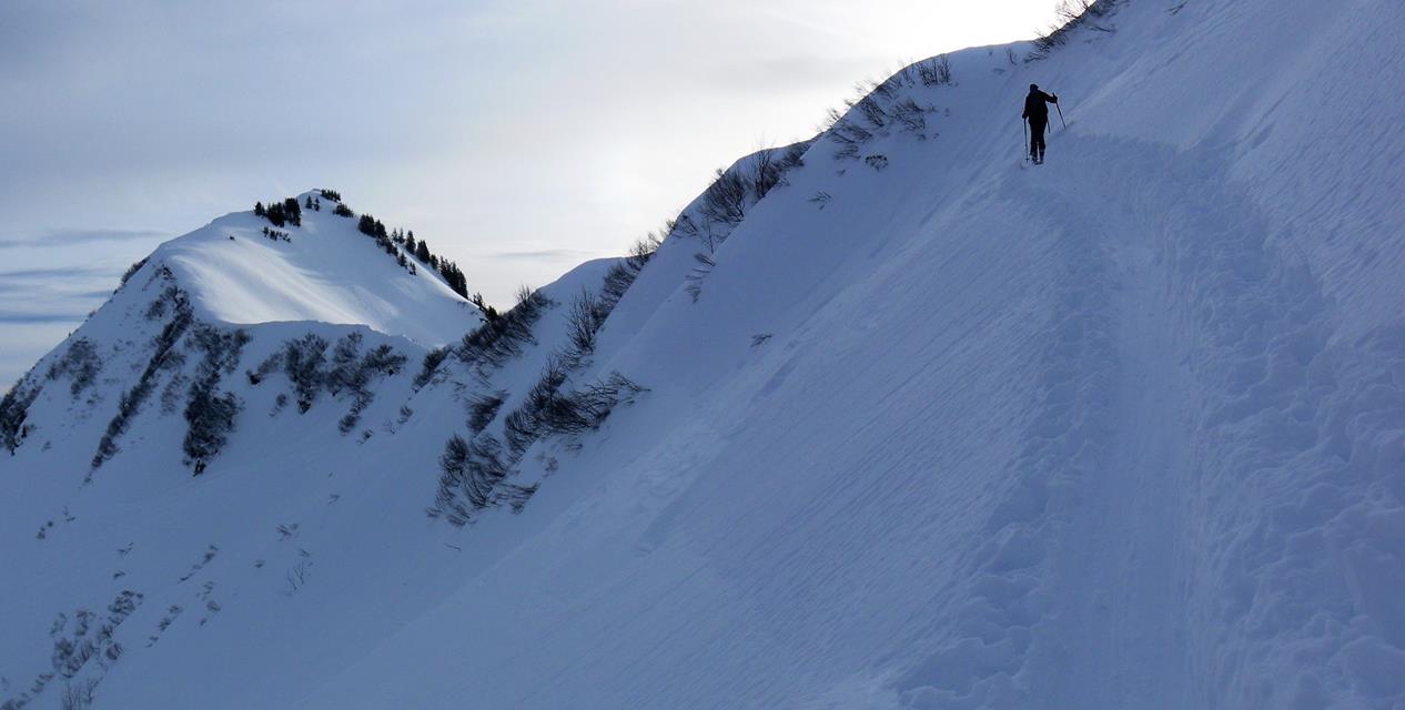 Foto: Wolfgang Lauschensky / Skitour / Grünhorn 2039m aus dem Schwarzwassertal / Schartenausstieg / 10.02.2019 11:21:37