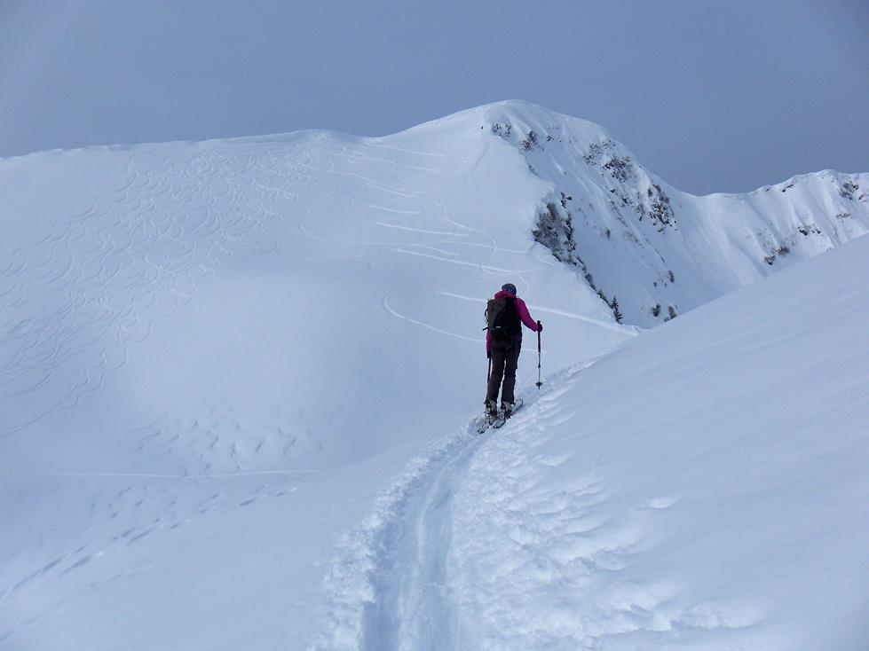 Foto: Wolfgang Lauschensky / Skitour / Grünhorn 2039m aus dem Schwarzwassertal / Kammquerung zur Gipfelscharte / 10.02.2019 11:21:34