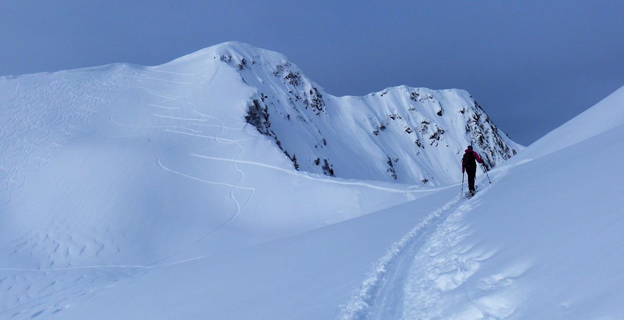 Foto: Wolfgang Lauschensky / Skitour / Grünhorn 2039m aus dem Schwarzwassertal / Ostflanke des Grünhorns / 10.02.2019 11:21:31