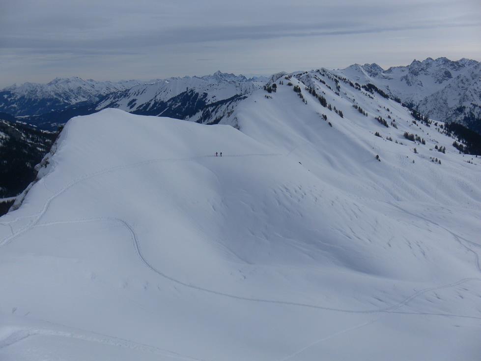Foto: Wolfgang Lauschensky / Skitour / Grünhorn 2039m aus dem Schwarzwassertal / Rückblick zur Ochenhoferscharte / 10.02.2019 11:21:27