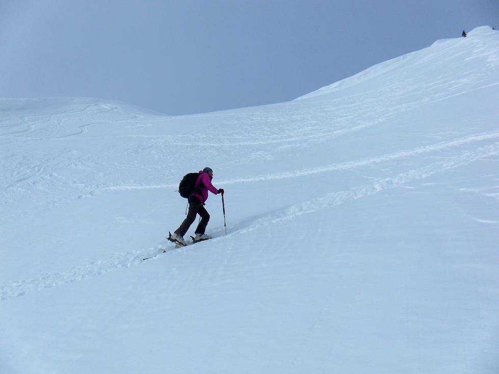 Foto: Wolfgang Lauschensky / Skitour / Grünhorn 2039m aus dem Schwarzwassertal / Gipfelhang / 10.02.2019 11:21:23