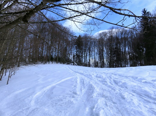 Foto: Andreas Koller / Schneeschuhtour / Spritztour auf die Hohe Götschen (930m) / 22.02.2019 21:27:41