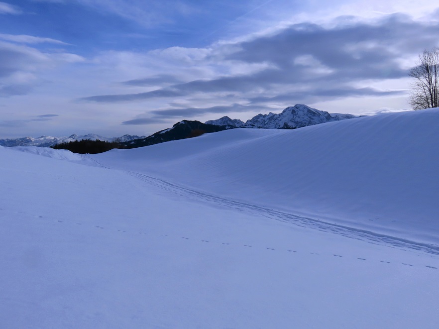 Foto: Andreas Koller / Schneeschuhtour / Spritztour auf die Hohe Götschen (930m) / 22.02.2019 21:27:30