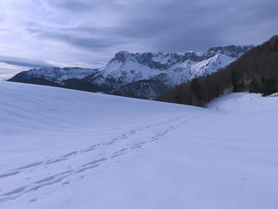 Foto: Andreas Koller / Schneeschuhtour / Spritztour auf die Hohe Götschen (930m) / 22.02.2019 21:26:34