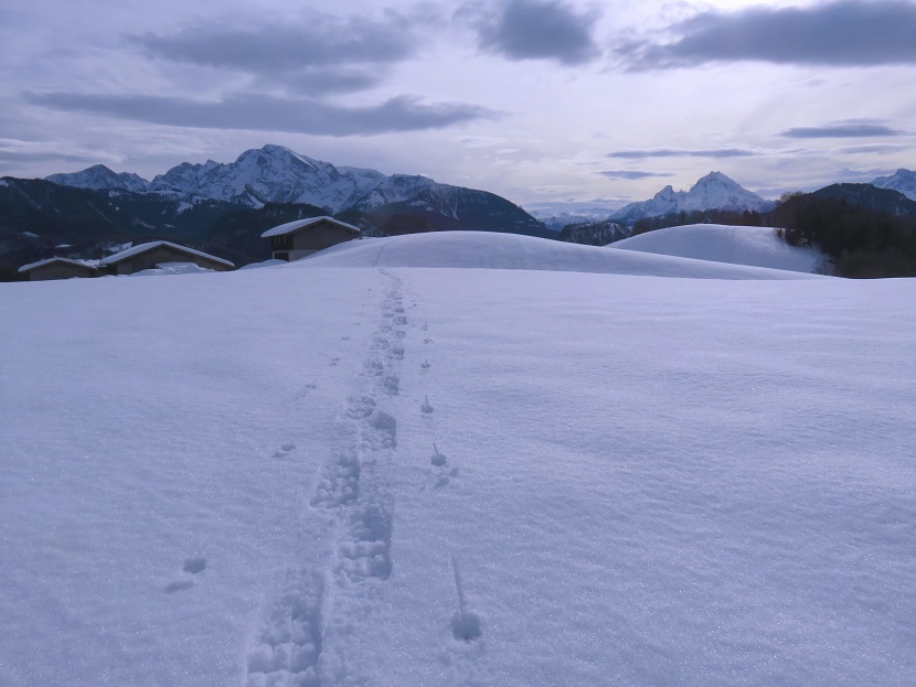 Foto: Andreas Koller / Schneeschuhtour / Spritztour auf die Hohe Götschen (930m) / 22.02.2019 21:26:25