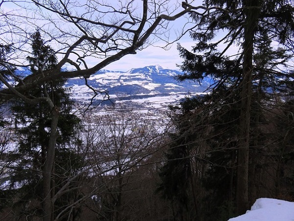 Foto: Andreas Koller / Schneeschuhtour / Spritztour auf die Hohe Götschen (930m) / 22.02.2019 21:26:10