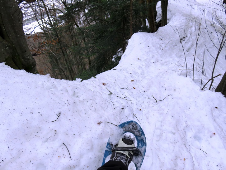 Foto: Andreas Koller / Schneeschuhtour / Spritztour auf die Hohe Götschen (930m) / Abstieg von der Hohen Götschen / 22.02.2019 21:25:15