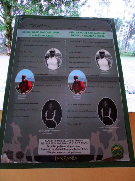 Foto: Andreas Koller / Wandertour / Climb and run: Kilimanjaro (5895m) / Rekorde am Kilimanjaro / 14.04.2019 00:47:31