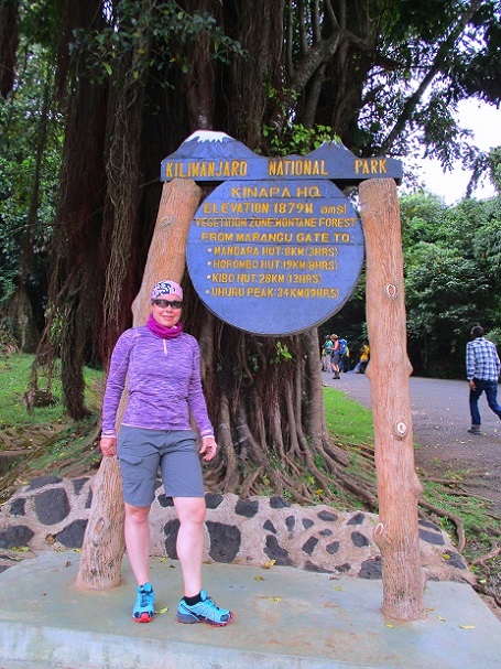 Foto: Andreas Koller / Wandertour / Climb and run: Kilimanjaro (5895m) / 14.04.2019 00:47:08