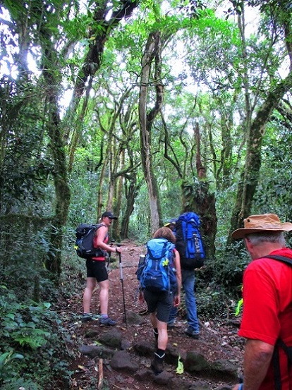 Foto: Andreas Koller / Wandertour / Climb and run: Kilimanjaro (5895m) / 14.04.2019 00:47:03