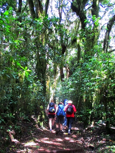 Foto: Andreas Koller / Wandertour / Climb and run: Kilimanjaro (5895m) / 14.04.2019 00:46:56