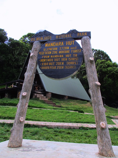 Foto: Andreas Koller / Wandertour / Climb and run: Kilimanjaro (5895m) / 14.04.2019 00:46:49